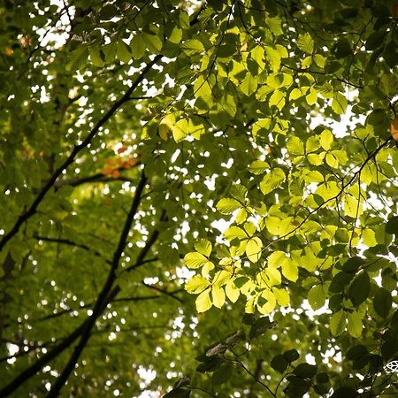 مبيت وإفطار Lembeke Barbos المظهر الخارجي الصورة